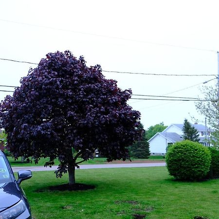 Katie Entire Basement 3 Bedrooms Charlottetown Exterior foto