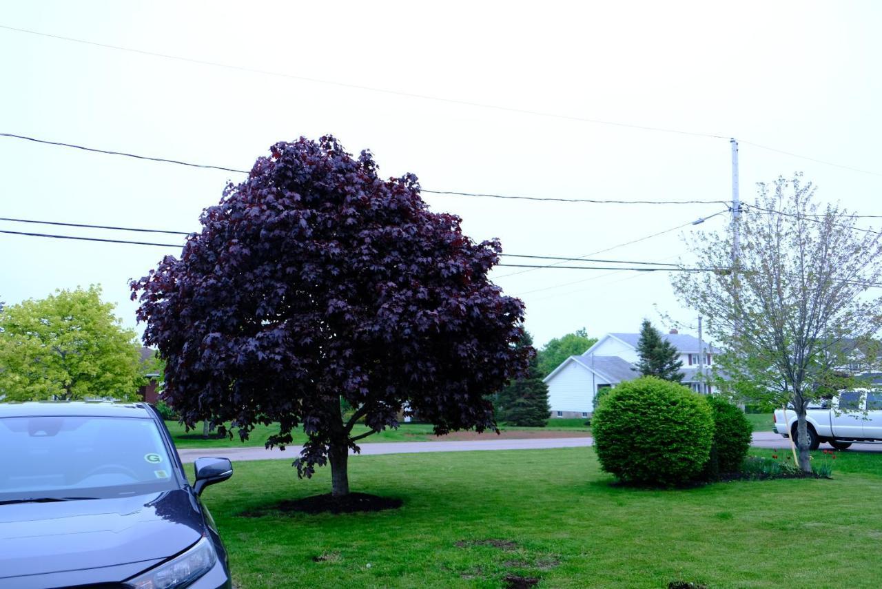 Katie Entire Basement 3 Bedrooms Charlottetown Exterior foto