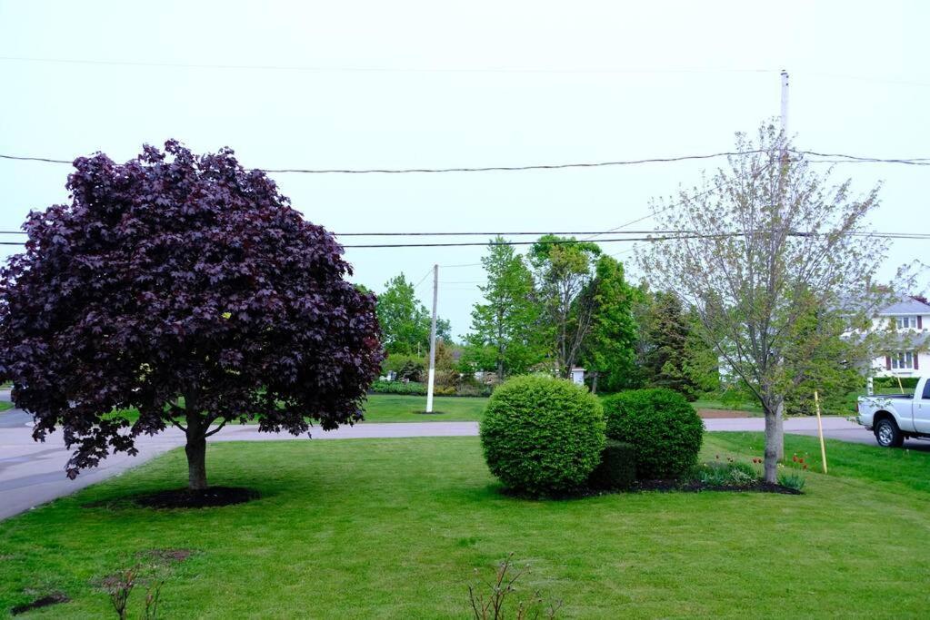 Katie Entire Basement 3 Bedrooms Charlottetown Exterior foto