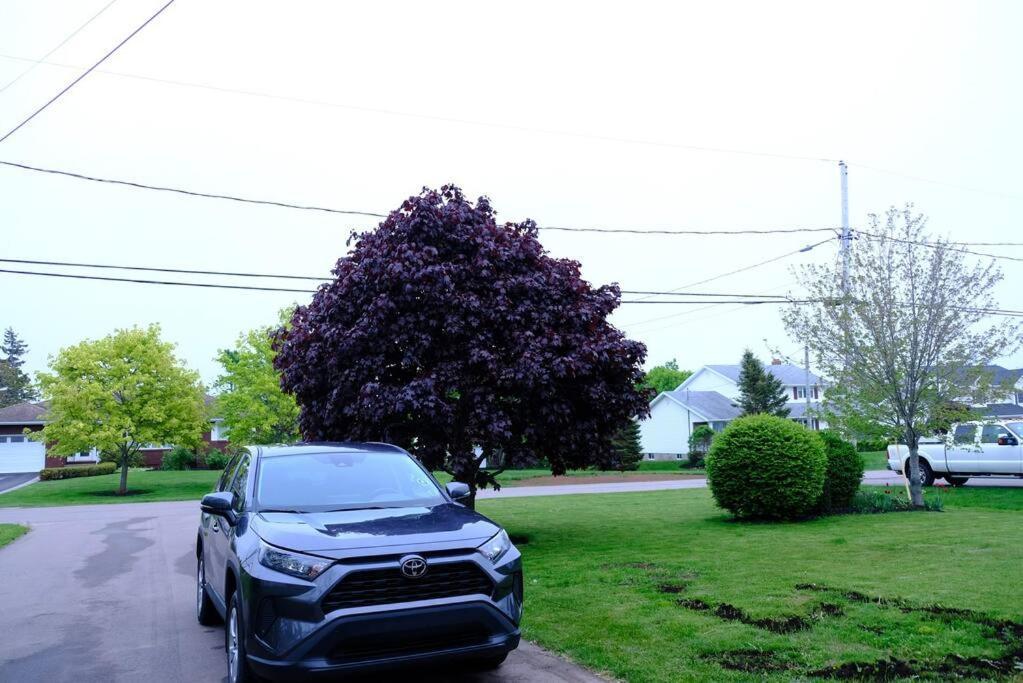 Katie Entire Basement 3 Bedrooms Charlottetown Exterior foto